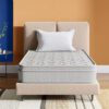 Godrej Interio Mattress Elegenza 72 x 35 x 6 Hard